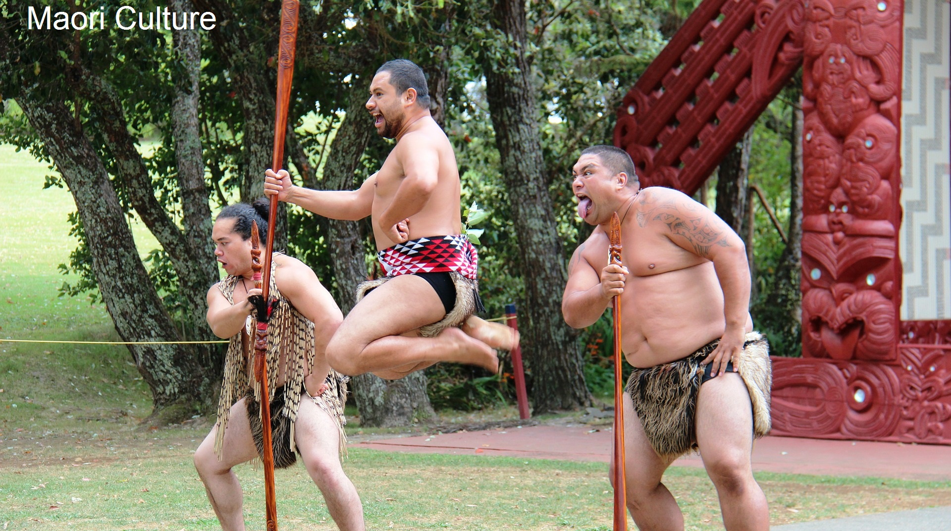 maori performent