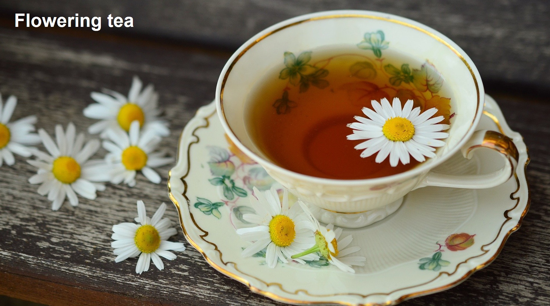 flowering tea white chrysanthemum tea